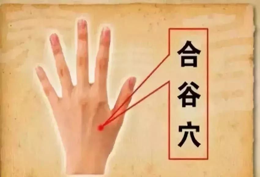 失眠便秘的中药方子,失眠牙痛便秘吃什么药