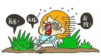 双十一拔草护肤品,双十一拔草