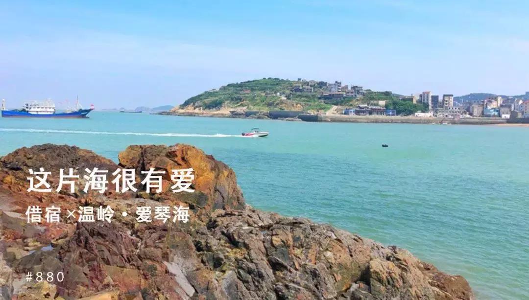 从世界500强企业辞职创业,从世界500强辞职