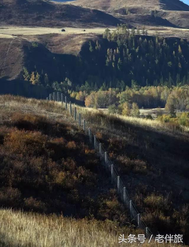 世界最细国界线,世界上奇葩的国界线竟然长这样