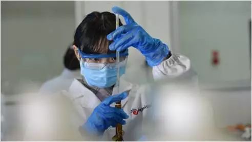 安琪纽特视频大赛,安琪纽特杯第8届