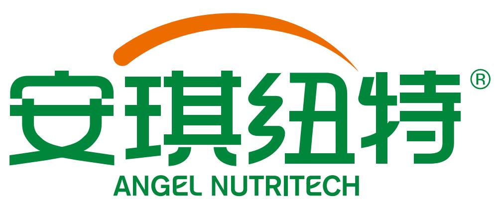 安琪纽特视频大赛,安琪纽特杯第8届