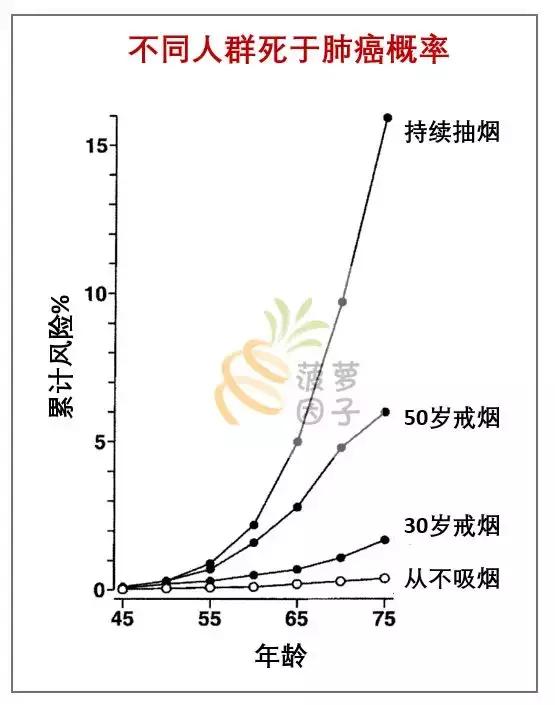 主持人李咏经过17个月的抗癌治疗,著名主持人李咏患的是什么癌症