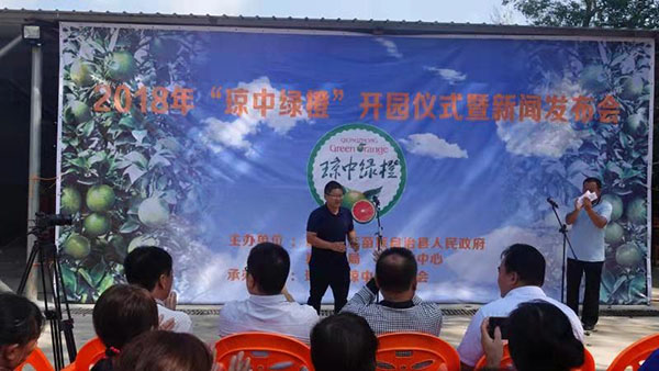 琼中绿橙亩产量能有多少斤,海南琼中绿橙每年几月上市