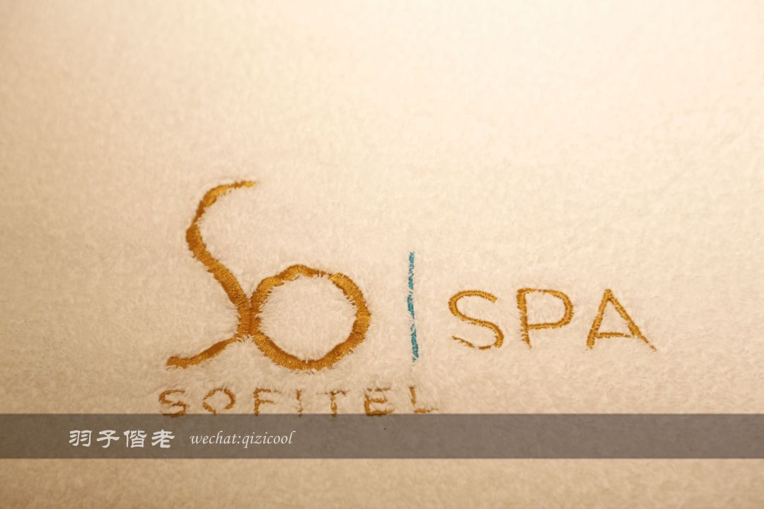 佛山罗浮宫索菲特酒店高山流水,佛山索菲特罗浮宫酒店附近美食