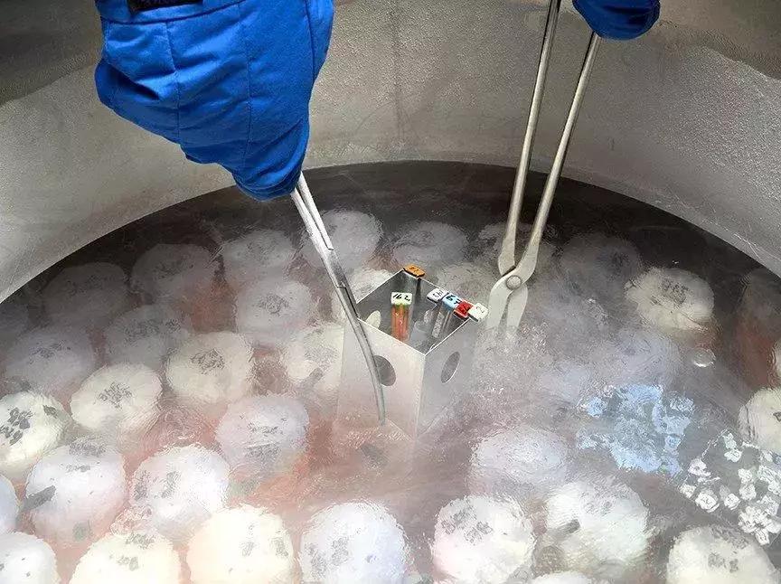 “有情人终成兄妹”？拥有1000名子女的超级捐精者引*伦发**理难题