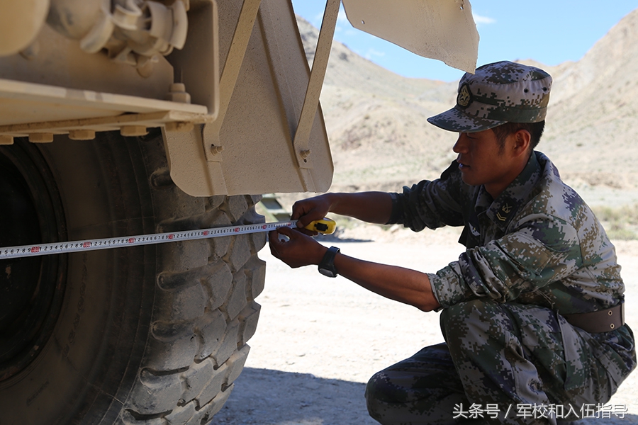 部队后勤岗位有前途吗,在部队养猪种田
