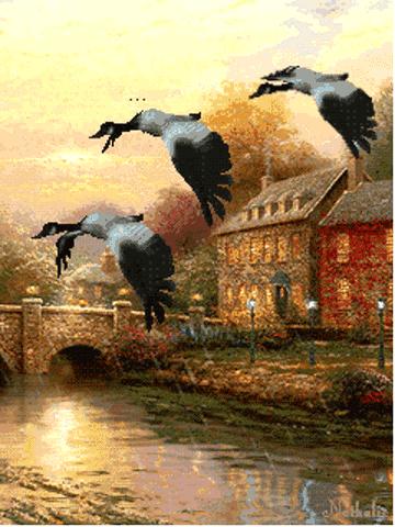 会动的漂亮图片,会动的花草图片