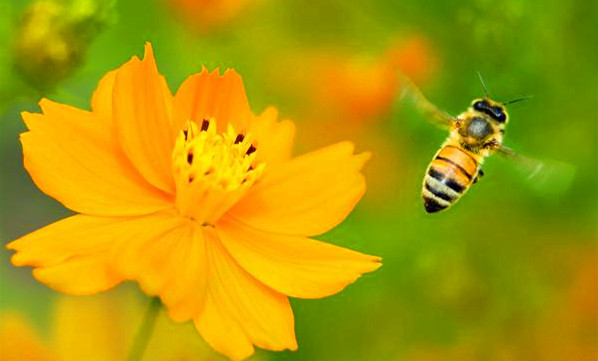 70岁老人身体好的秘诀,70岁以上老人健康秘诀