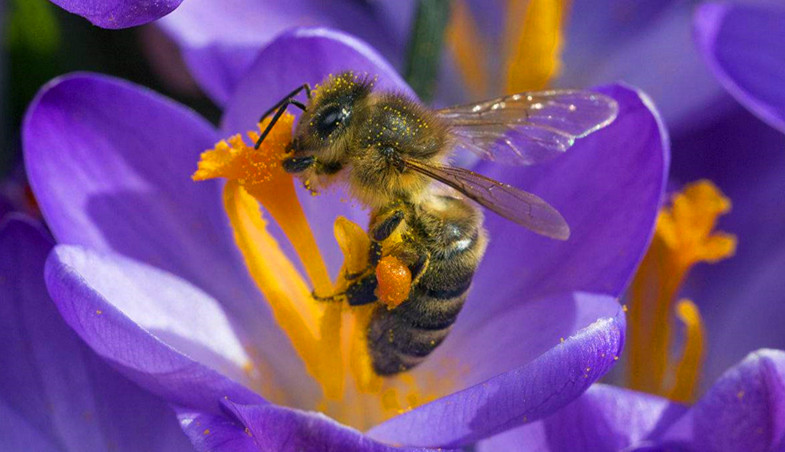 70岁老人身体好的秘诀,70岁以上老人健康秘诀