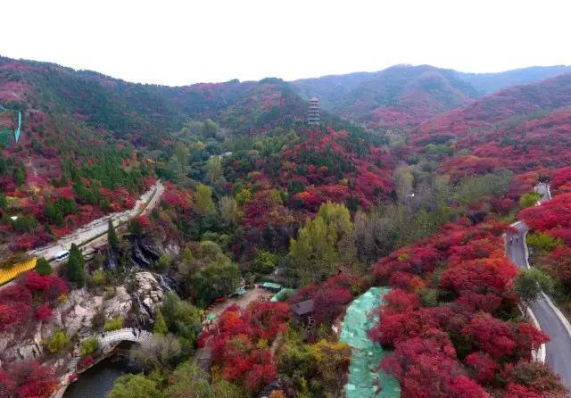 济南红叶谷在济南什么位置,山东济南红叶谷秋色
