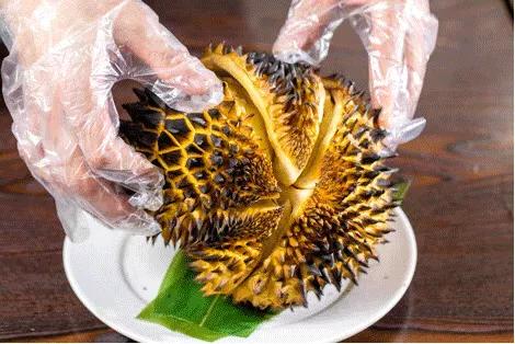 最好吃的烤榴莲肉,香格里拉古城炭烤榴莲