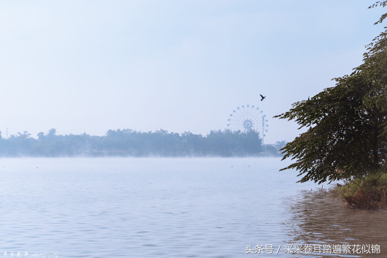 瑞丽夜晚打卡景点有哪些,瑞丽去哪里看风景