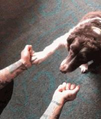 爆笑gif图外国人真会玩真正的王者,搞笑gif趣图为了玩游戏也是拼了