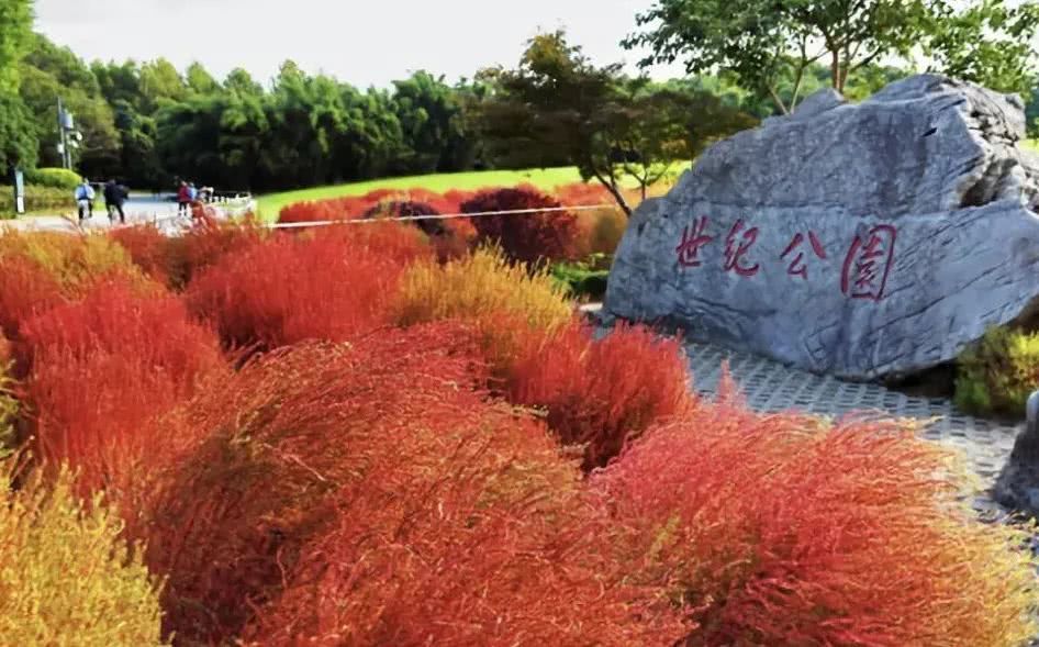 三天小长假适合去哪里玩,三天小长假去哪看看