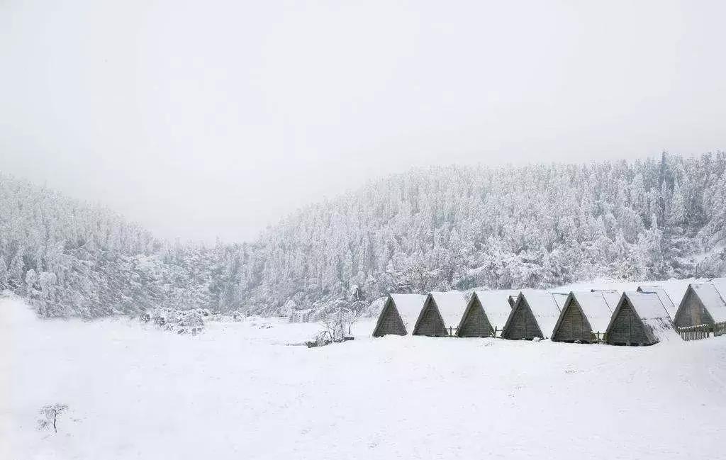 重庆冬天看雪景点,重庆最近看雪景的十大绝佳地点