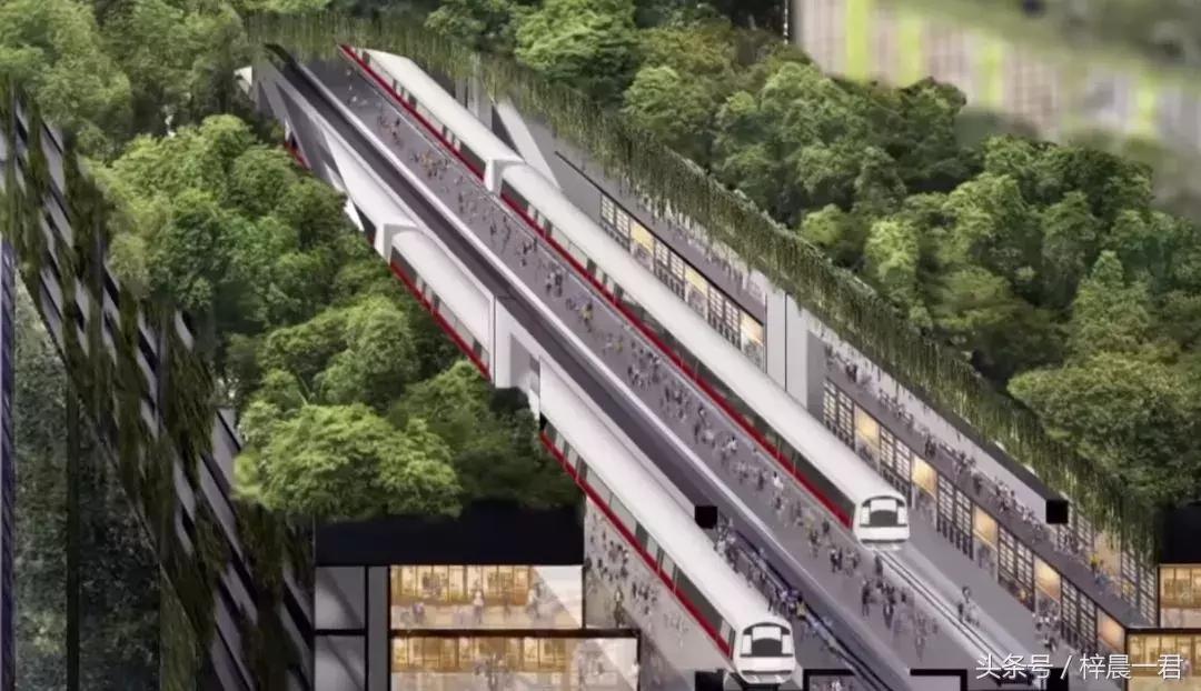 浦东与新加坡人口密度,新加坡面积与人口密度