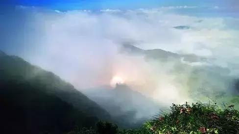 对不起我要去珠海买房,对不起我要去刺猹了