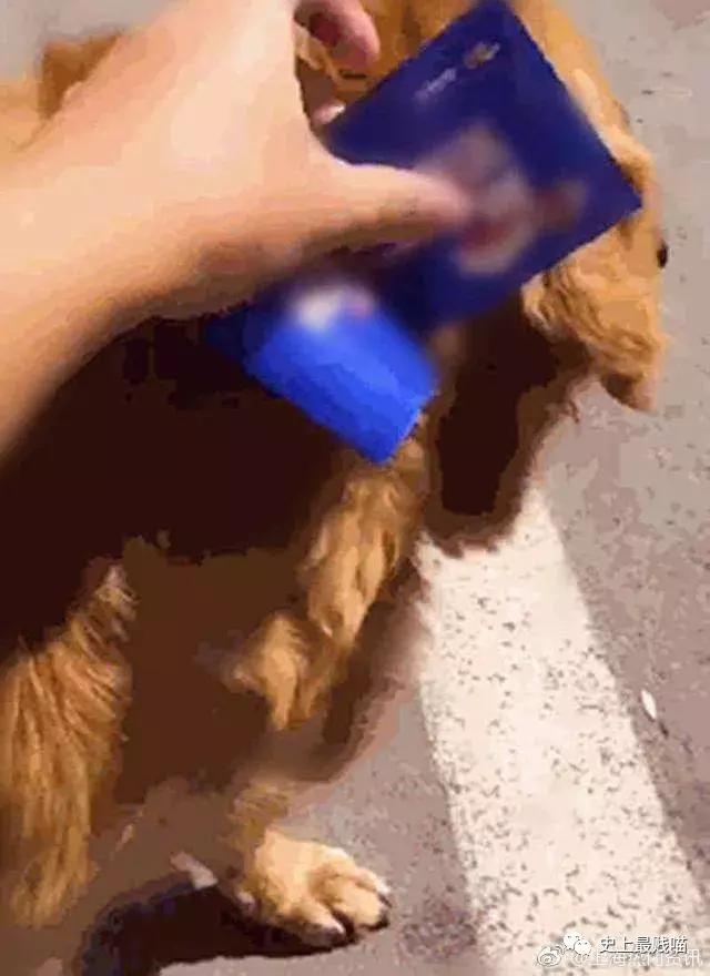 网友在微商那花5000买了个丁丁增大器？结果……