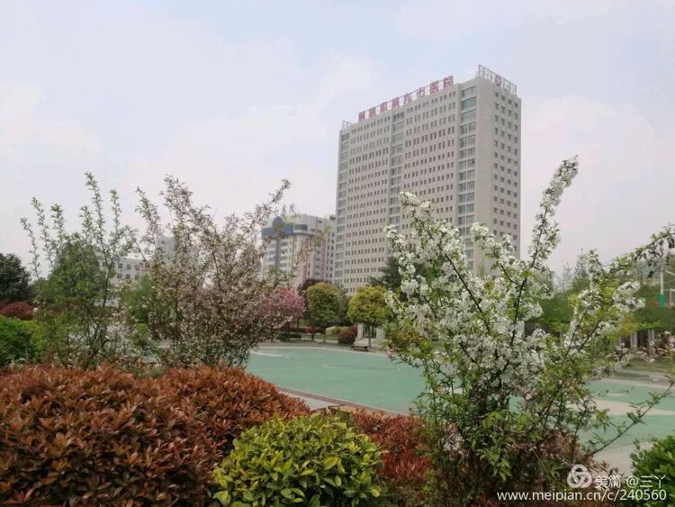 再见97,再见1997学校