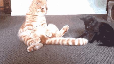 男性哪些行为对女性健康不利,这个行为值得原谅吗知乎