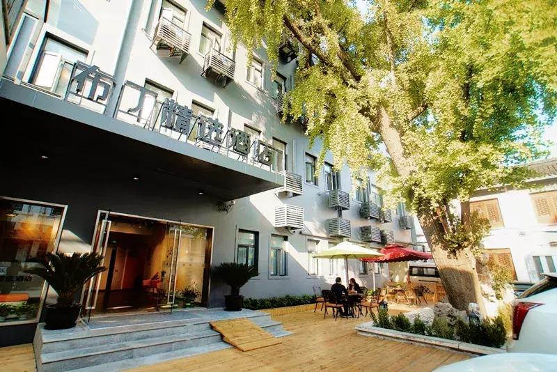 苏州上方山银杏景点,苏州银杏树拍照打卡攻略