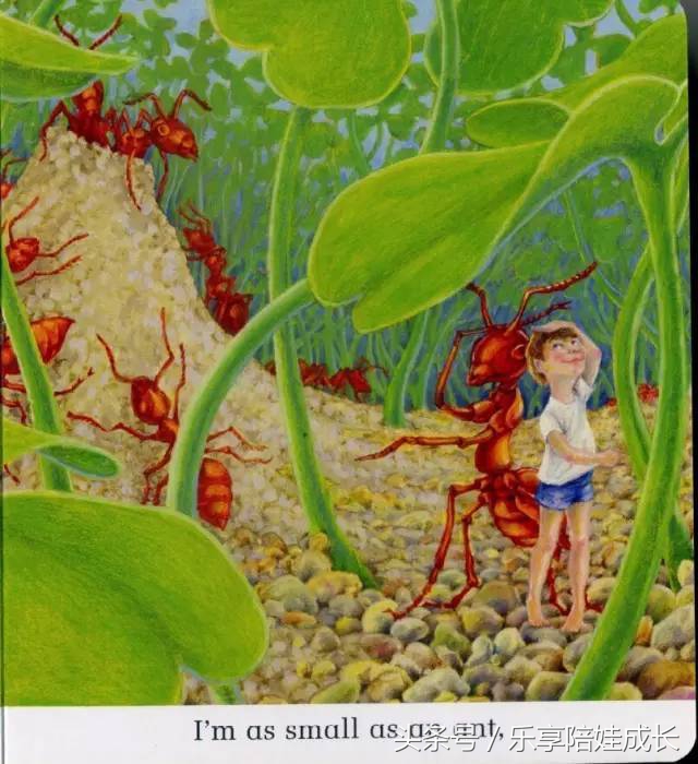 quickasacricket翻译,绘本磨耳朵故事视频