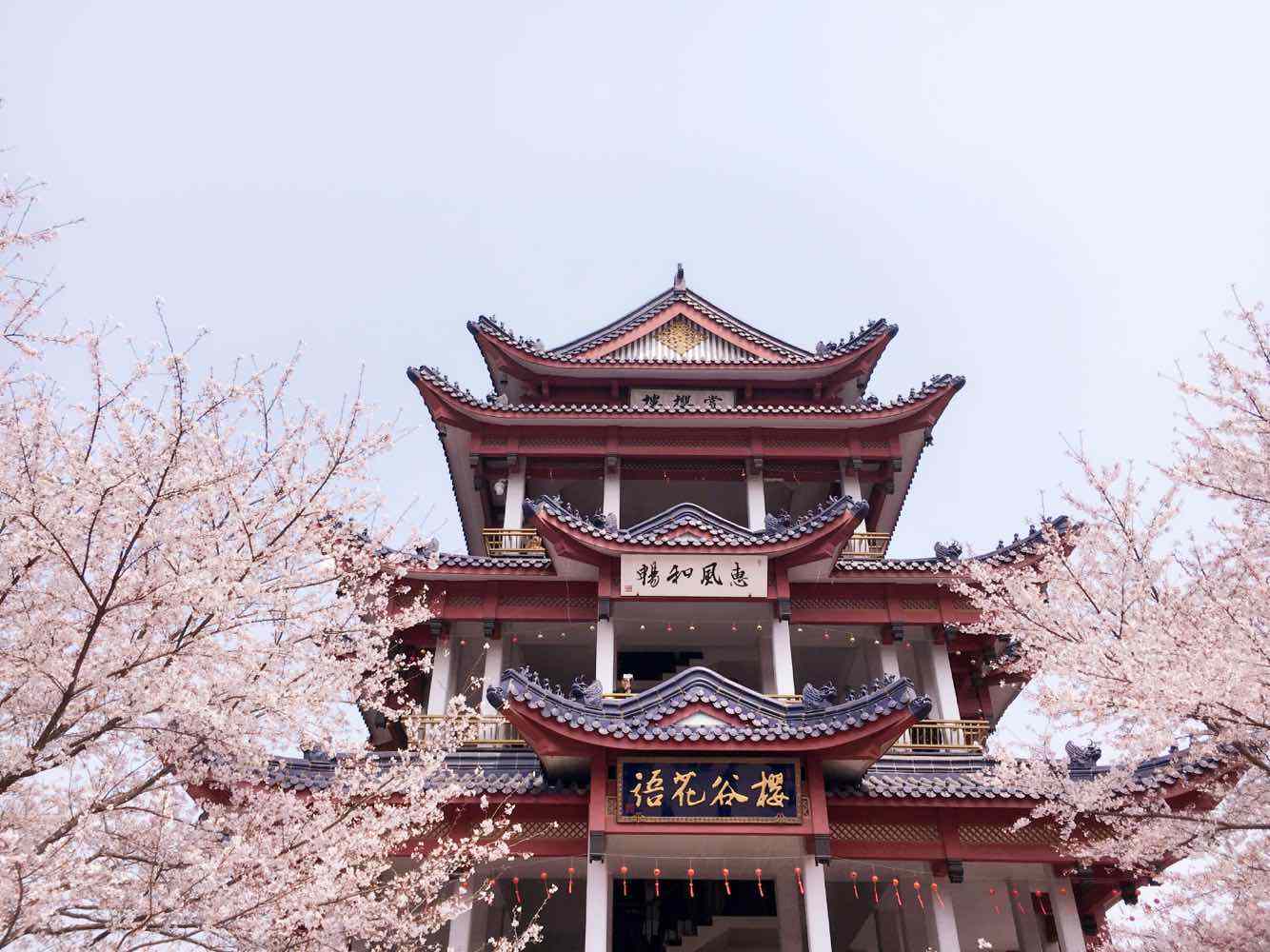 江苏镇江旅游必去十大景点推荐,江苏扬州的十大景点