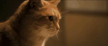 十一月这份片单,我敲锣打鼓的告诉你