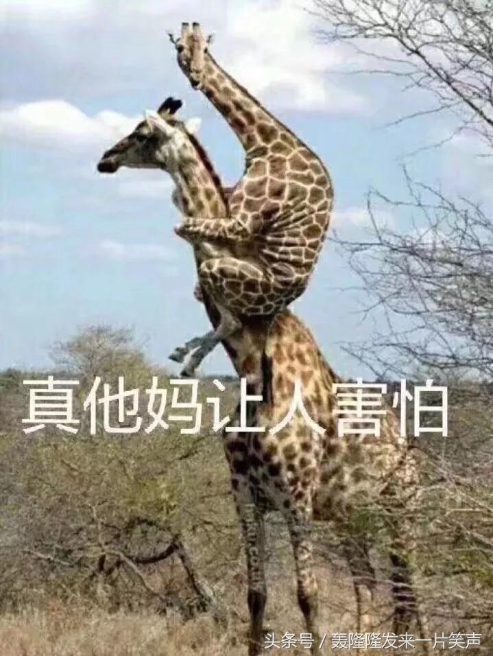 绝经需要避孕吗,绝经后还需要避孕吗