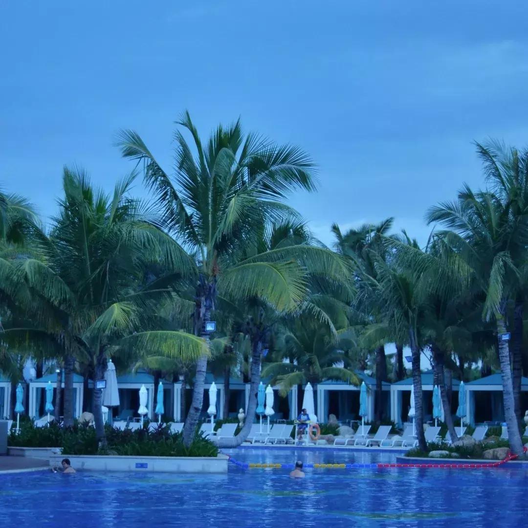 鲨鱼海豚亲子游攻略 (凤岭水世界游玩攻略)