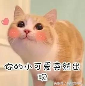 杨树林粉色系口红,杨树林的口红和彩妆