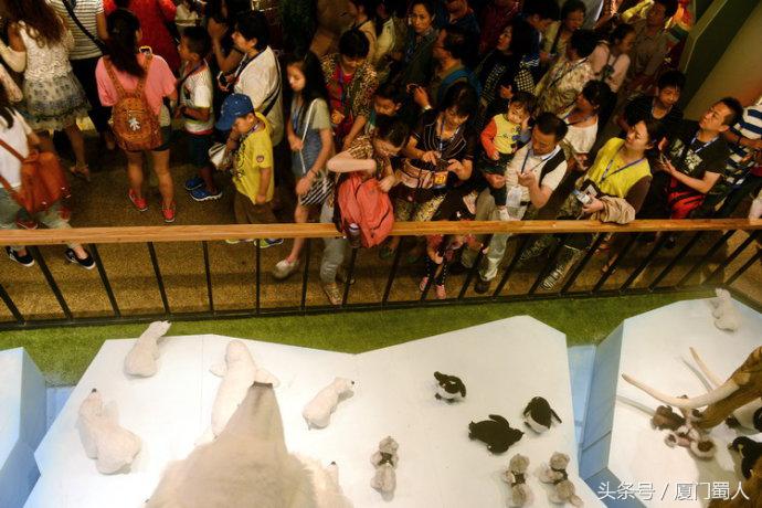 韩国济州岛泰迪熊馆,韩国的泰迪熊博物馆