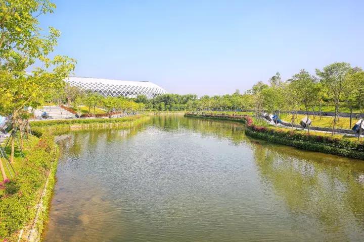 深圳向世界发出邀请,向世界推介深圳