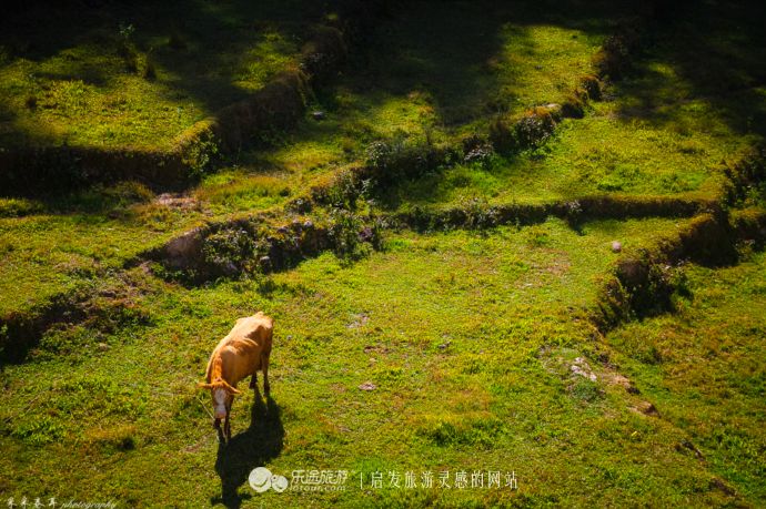 鑵惧啿鐏北鐑捣鏅尯闂ㄧエ缃戜笂璐エ,浜戝崡鑵惧啿鐑捣鏅尯