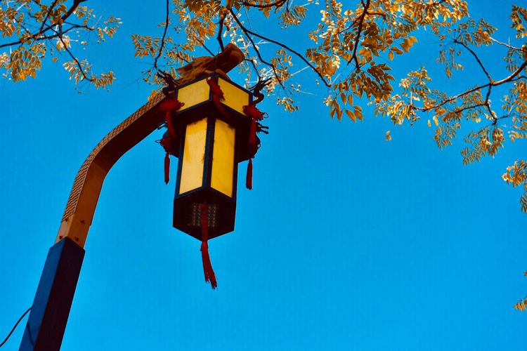 秋到上阳宫，黄叶蓝天高宫阙，皇帝都赞的美景，免费你都没去看？