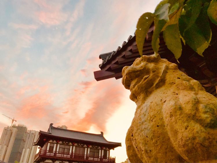 秋到上阳宫，黄叶蓝天高宫阙，皇帝都赞的美景，免费你都没去看？