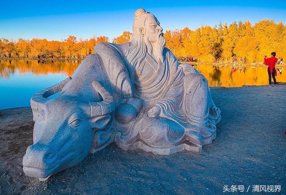 三千年守候额济纳完整版,大美金塔胡杨林