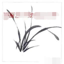 兰花国画写意画法初学者教程,国画教程写意兰花示范讲解