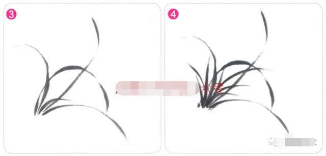 兰花国画写意画法初学者教程,国画教程写意兰花示范讲解