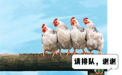 为什么键盘上的字母不是顺序来的,键盘上的字母为什么不按abcd排列