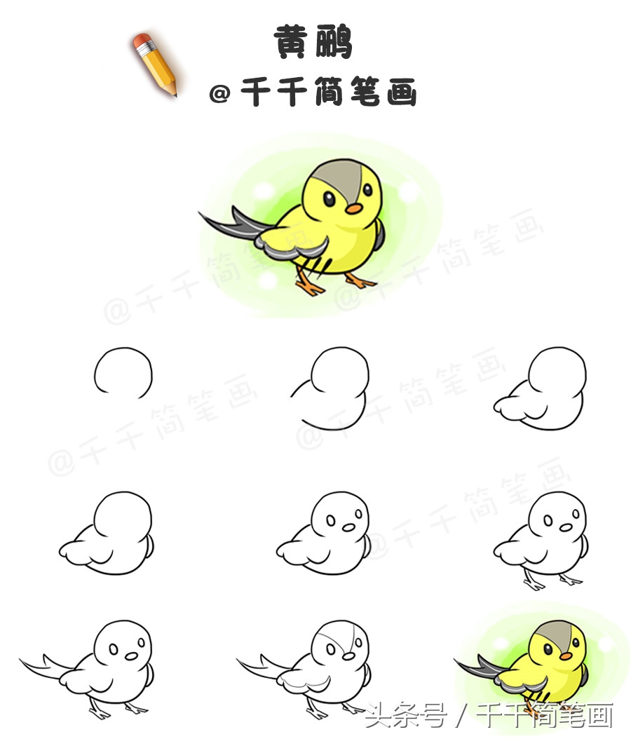 各种鸟类简笔画绘画技法大全,鸟类简笔画简单又好看