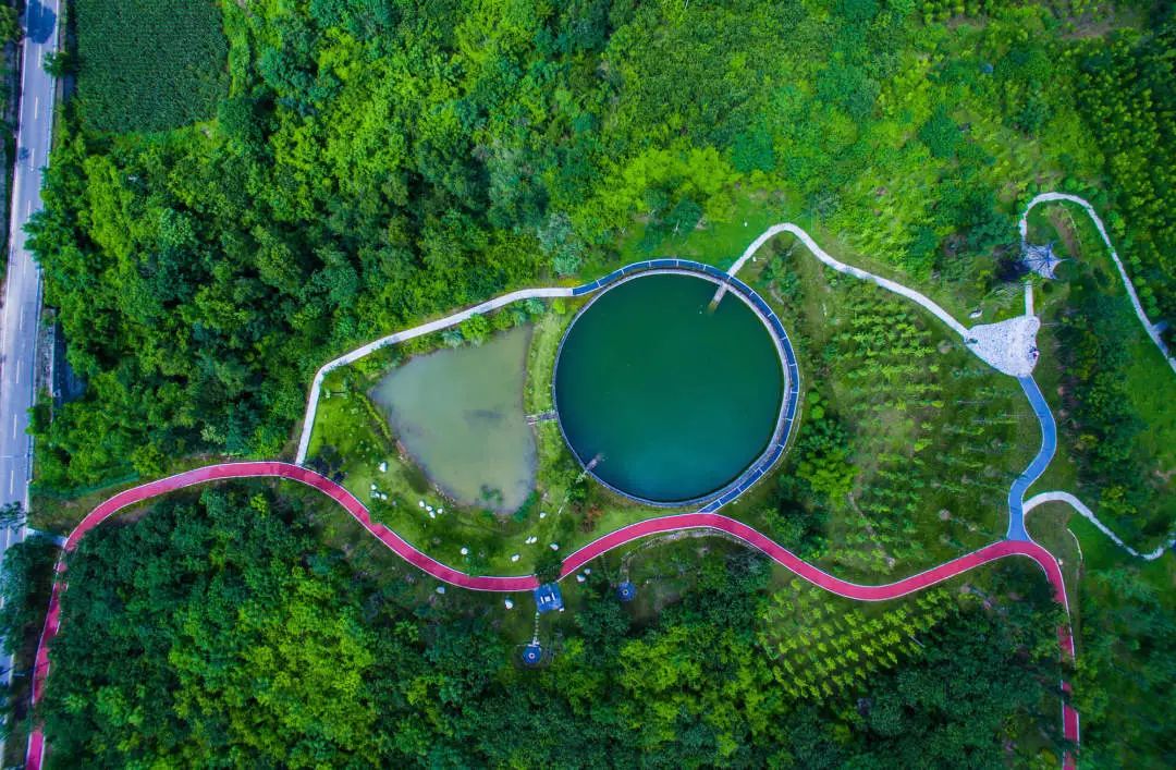 致世界文化名城成都，来自星巴克的邀请