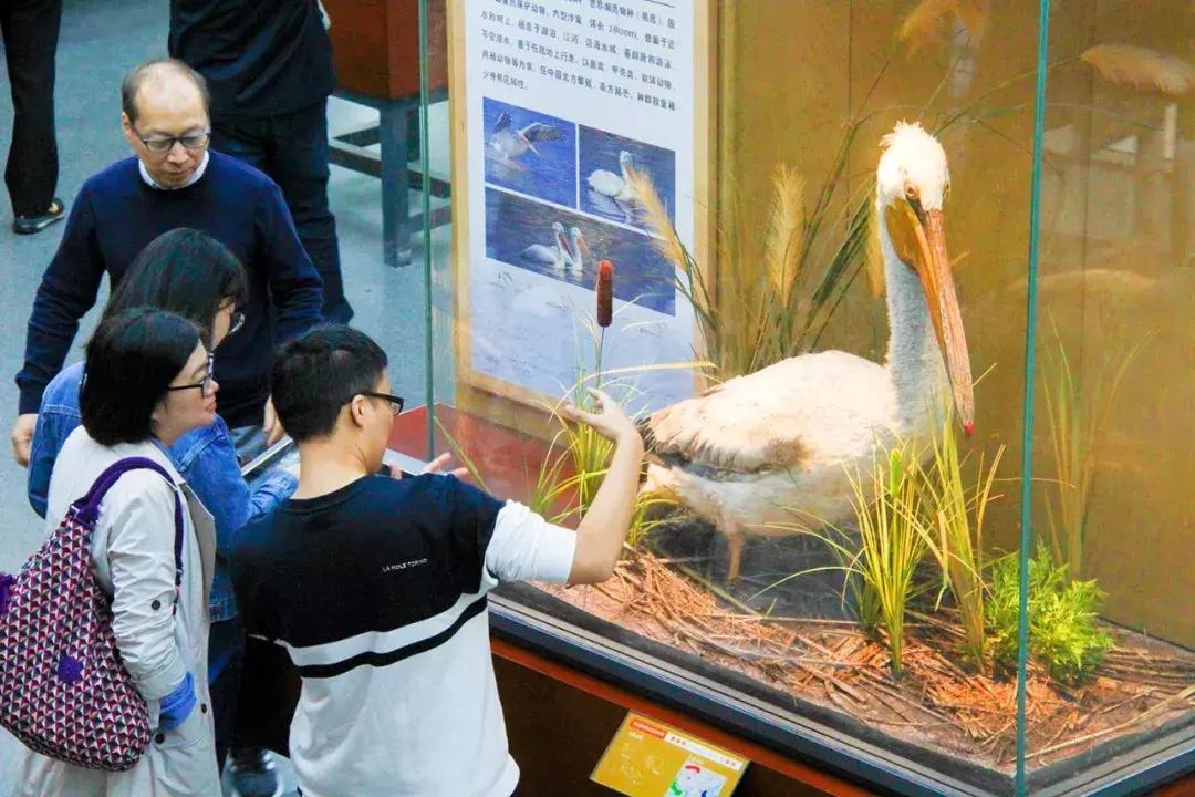 娴欐睙鍙板窞瀹濊棌鐢峰,鍙板窞瀹濊棌鐢风敓