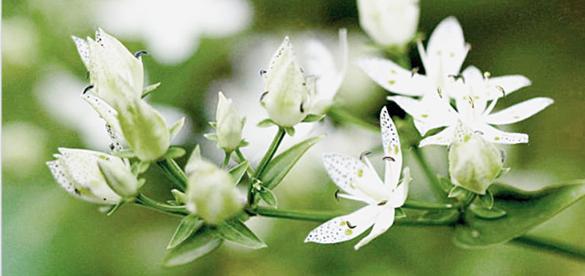 男神吴彦祖高清视频,男神吴彦祖合集