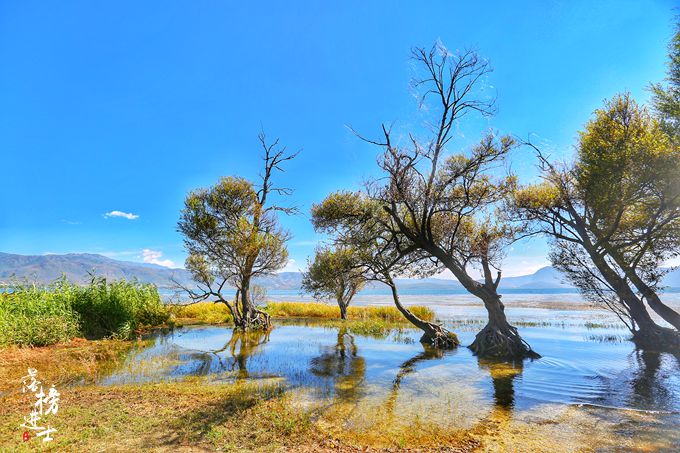 大理洱海海舌半岛需要门票吗,洱海最美半岛是尼格半岛吗