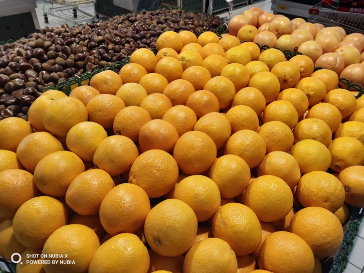 努比亚双摄旗舰曲面屏,努比亚x双屏测评