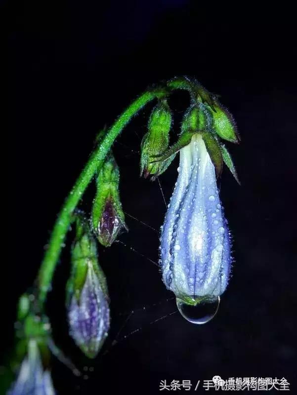 教你如何用手机拍出最好的照片,十个秘诀让你用手机拍出好照片