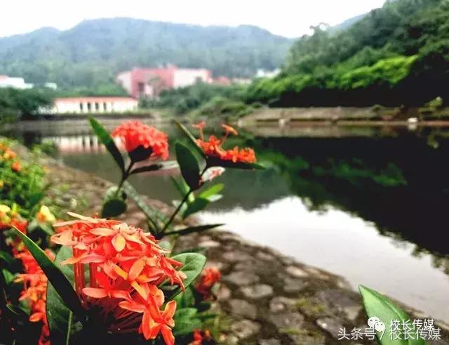 小小改变大大收获的感悟,小小改变带来大大不同