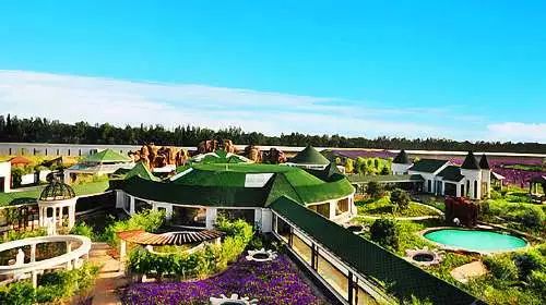 洛阳旅游景点特价门票,近期特价门票免费景点